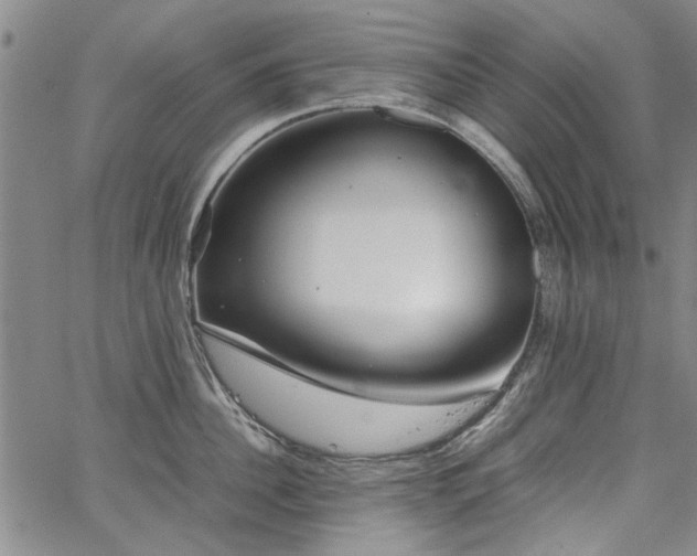 X0000067520956200604071318