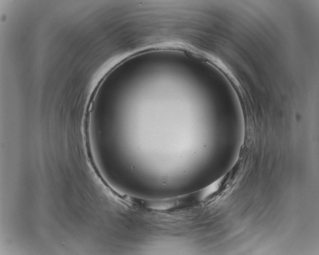 X0000067520959200604071318