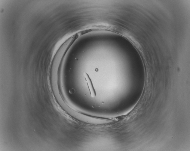 X0000067520960200604071318