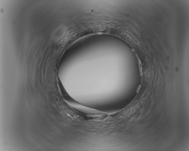 X0000067520961200604071317