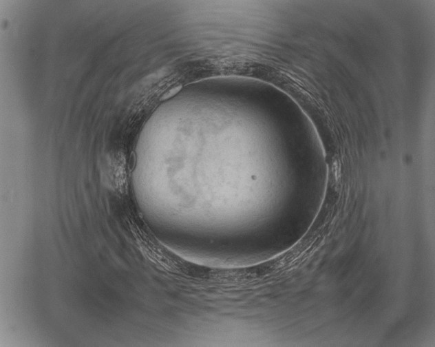 X0000067520963200604071317