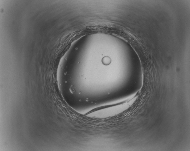 X0000067520965200604071317