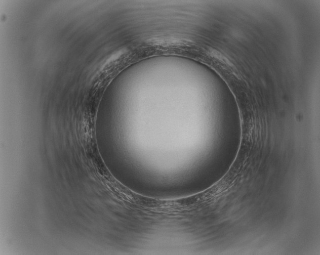 X0000067520966200604071317