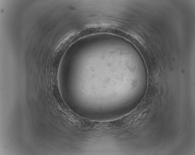 X0000067520967200604071317