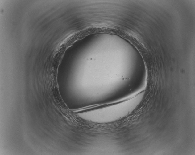 X0000067520968200604071317