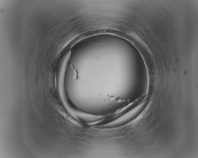 X0000067520969200604071317