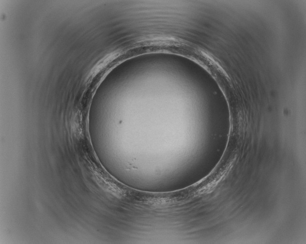 X0000067520970200604071317