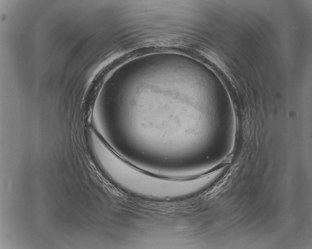 X0000067520971200604071317