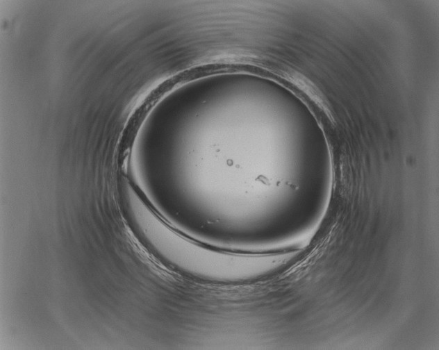 X0000067520972200604071317