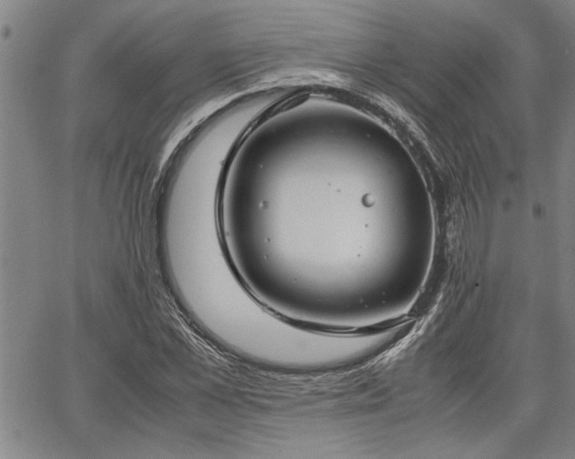 X0000067520973200604071317