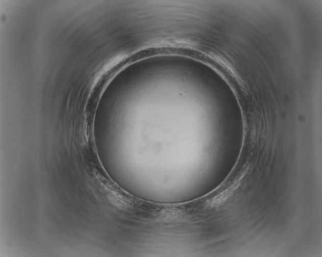 X0000067520974200604071317