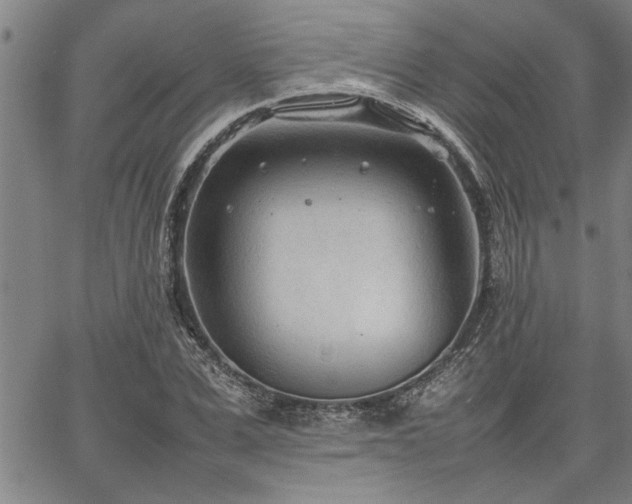 X0000067520975200604071317