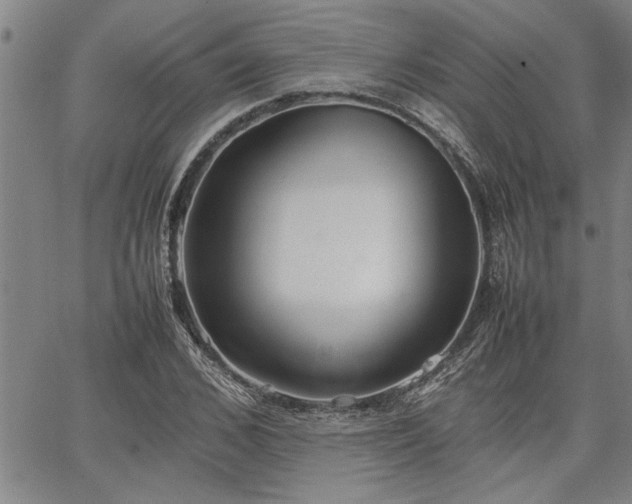 X0000067520976200604071317