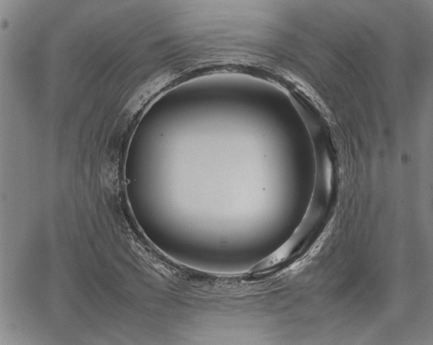 X0000067520977200604071317