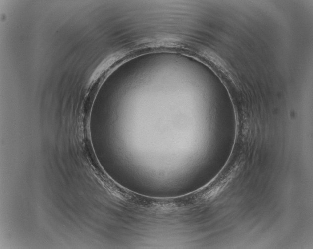 X0000067520978200604071317