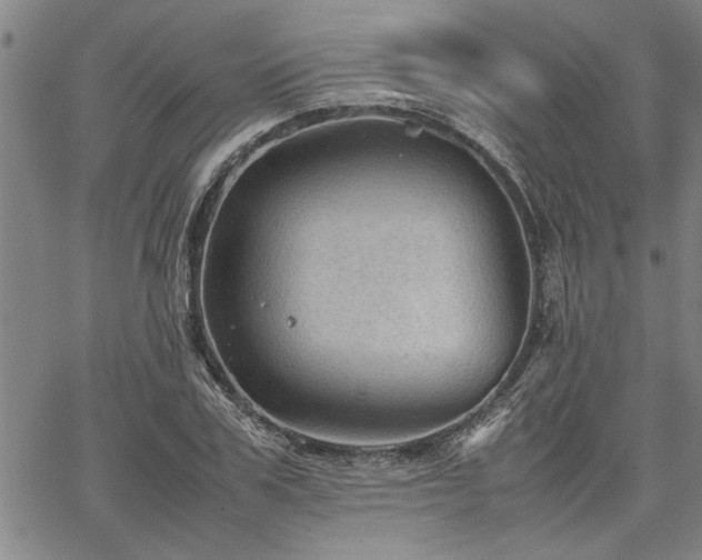 X0000067520979200604071317