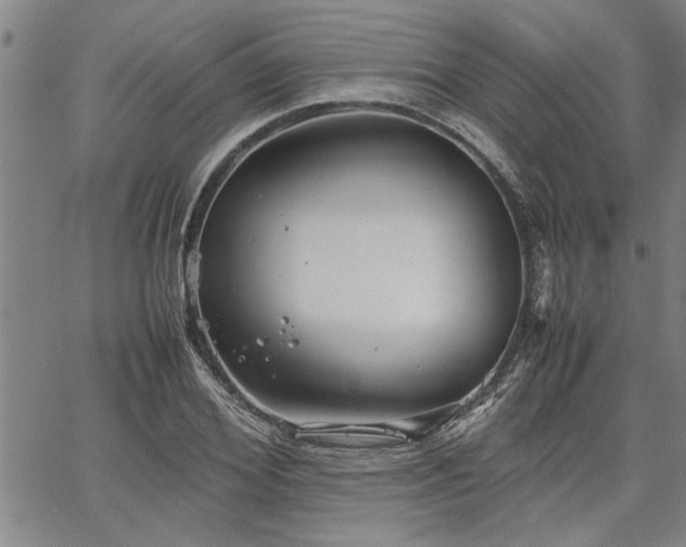 X0000067520980200604071317