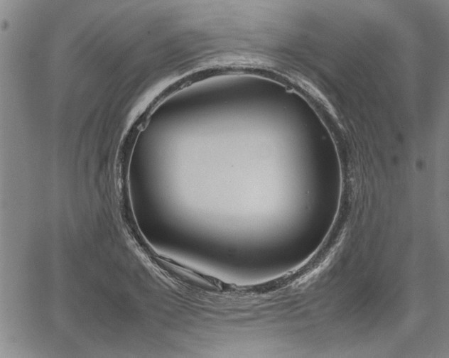 X0000067520981200604071317