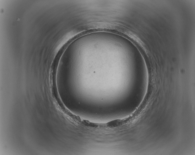 X0000067520983200604071317