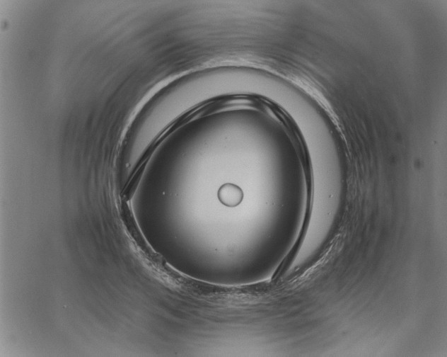 X0000067520984200604071317