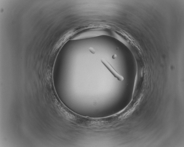 X0000067520985200604071317