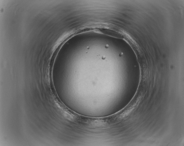 X0000067520986200604071317