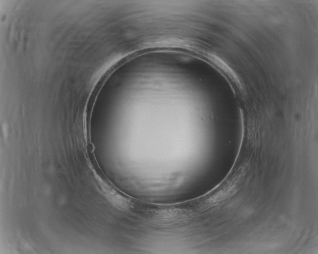 X0000067520988200604071317