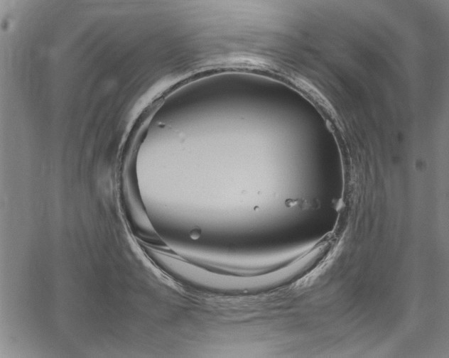 X0000067520989200604071317