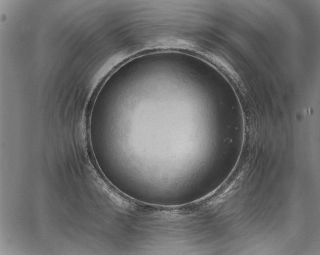 X0000067520990200604071317