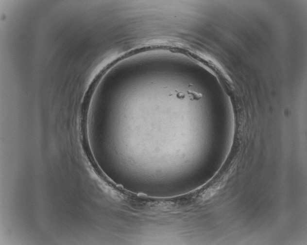 X0000067520991200604071317