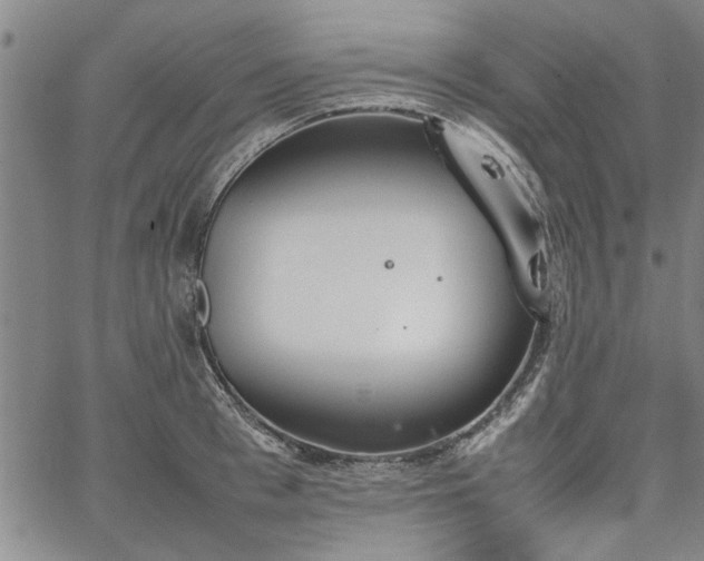 X0000067520993200604071317