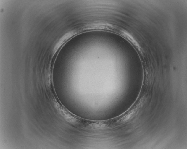 X0000067520994200604071317