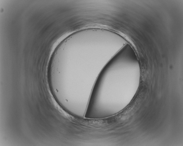 X0000067520995200604071317