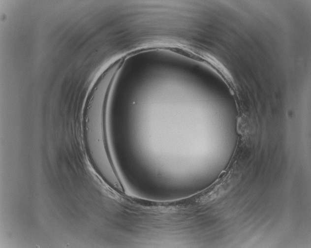 X0000067520996200604071317