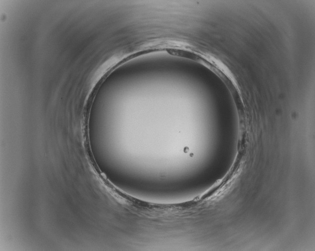 X0000067520997200604071317