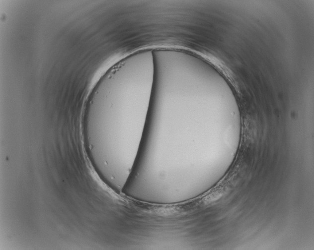 X0000067520998200604071317