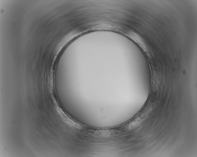 X0000067521000200604071317