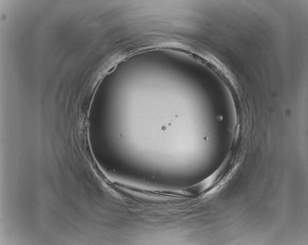 X0000067521001200604071317