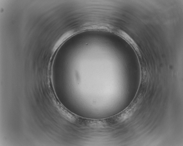 X0000067521002200604071317