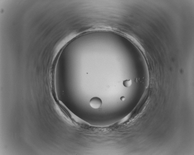 X0000067521003200604071316