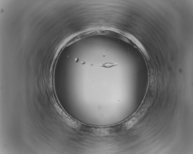 X0000067521004200604071316