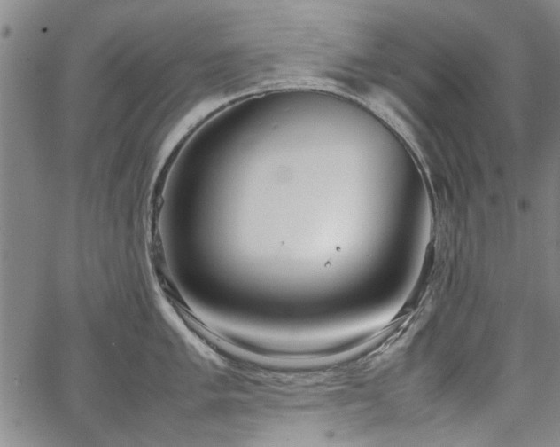 X0000067521005200604071316