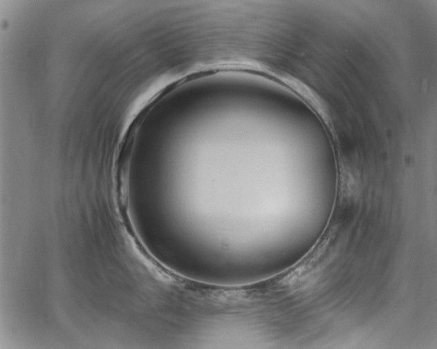 X0000067521006200604071316