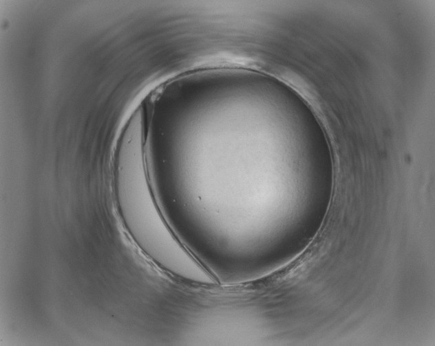 X0000067521008200604071316