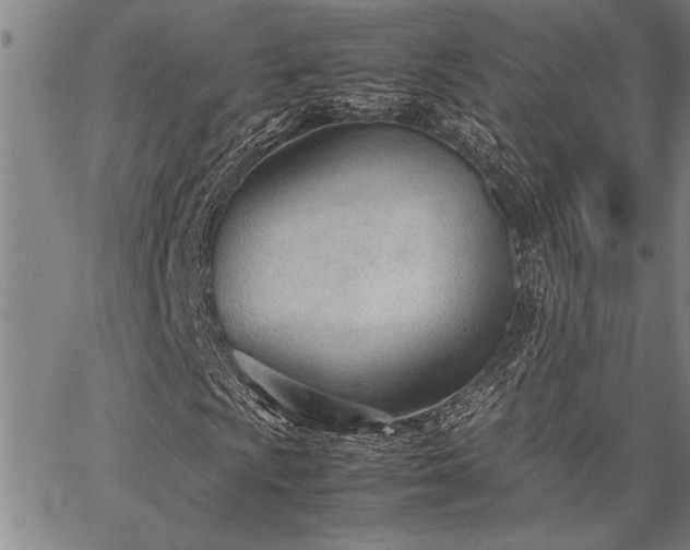 X0000067521009200604071316