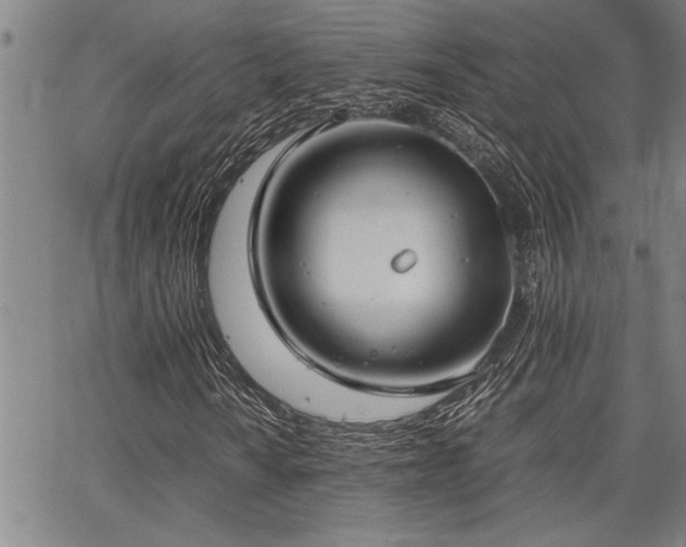 X0000067521010200604071316