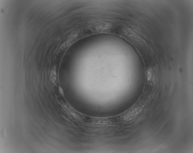 X0000067521011200604071316