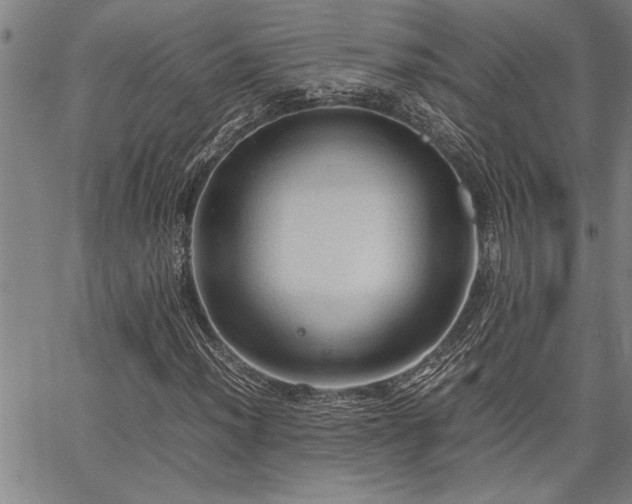 X0000067521012200604071316