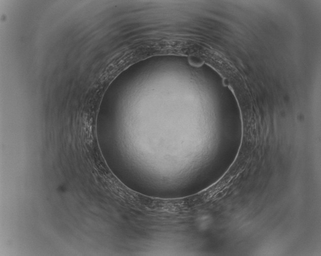 X0000067521013200604071316