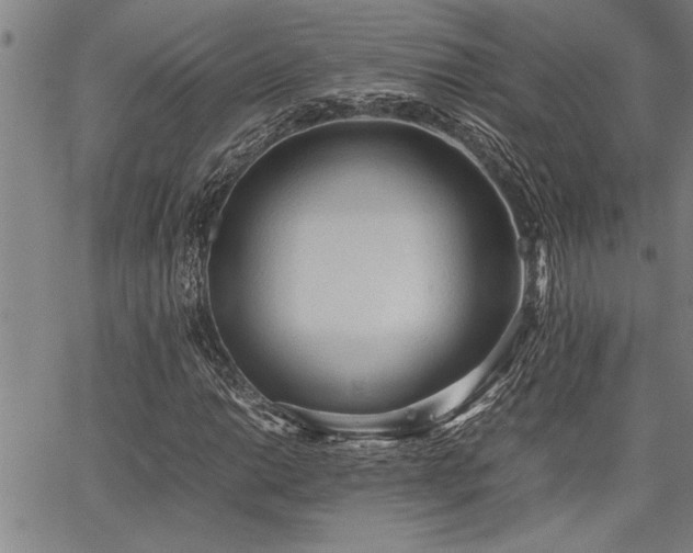 X0000067521014200604071316